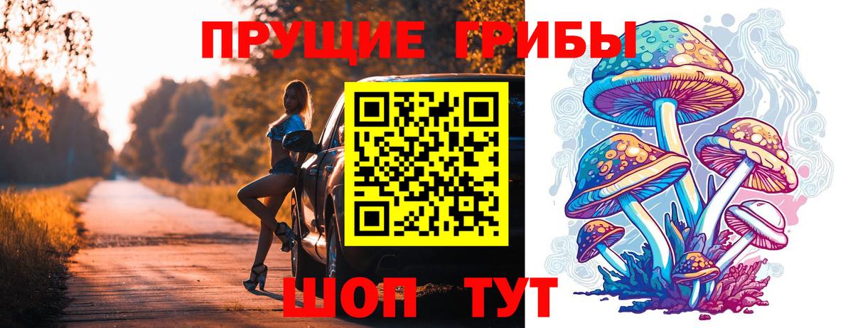Псилоцибиновые грибы Psilocybe Дзержинский