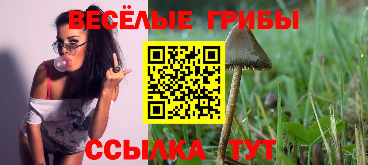 Галлюциногенные грибы ЛСД  Вход с VPN  Дзержинский 